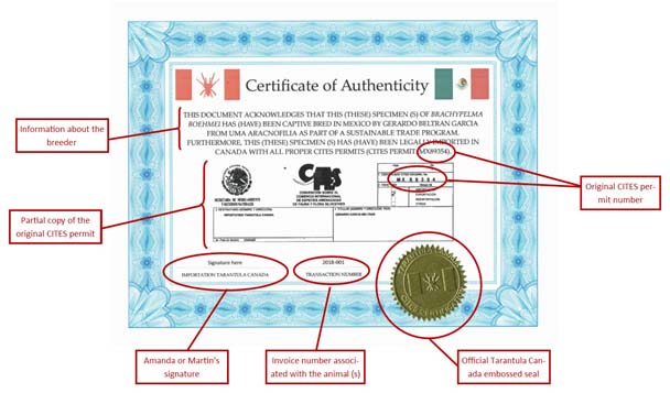 Certificate of Authenticity